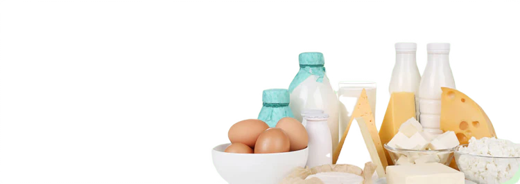 Dairy Items